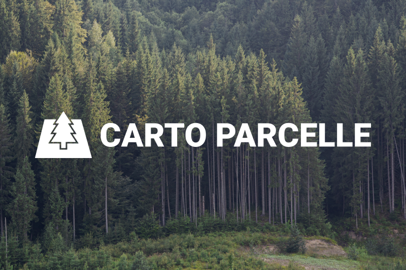 Carto Parcelle - cas client data, IA et automatisation Alixon